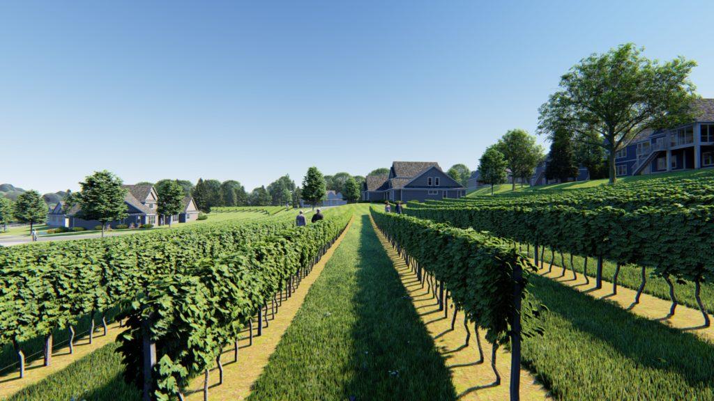 Architectural rendering of vineyard 3D design model